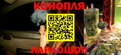 тгк Тула