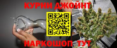 шишки Тулун