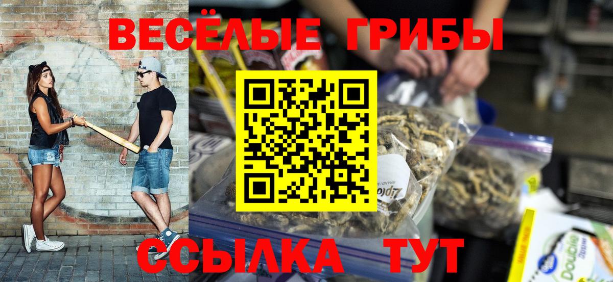 Новотроицк  Галлюциногенные грибы Psilocybe  Вход с VPN 